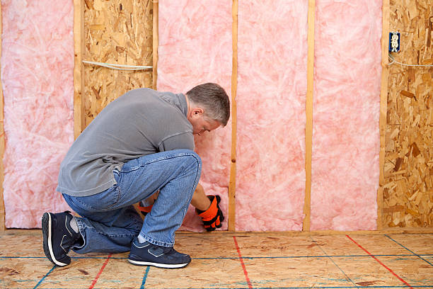 Best Insulation Maintenance and Repair in Parowan, UT